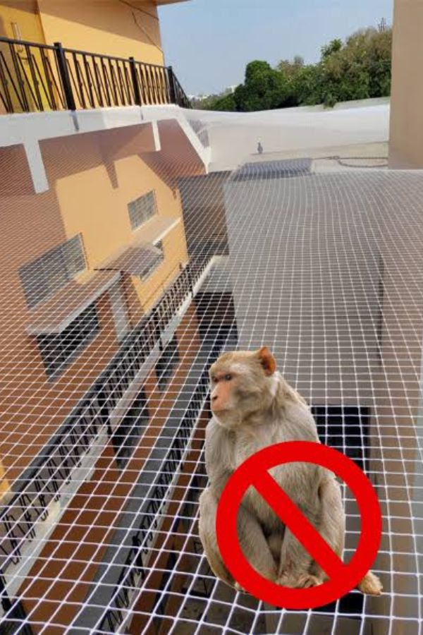 Monkey Safety Nets for Balconies