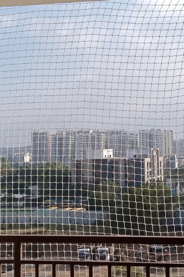 Pigeon Control Service