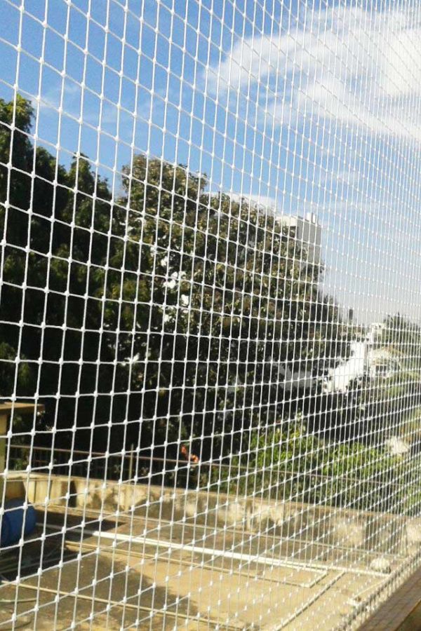 Pigeon Safety Nets