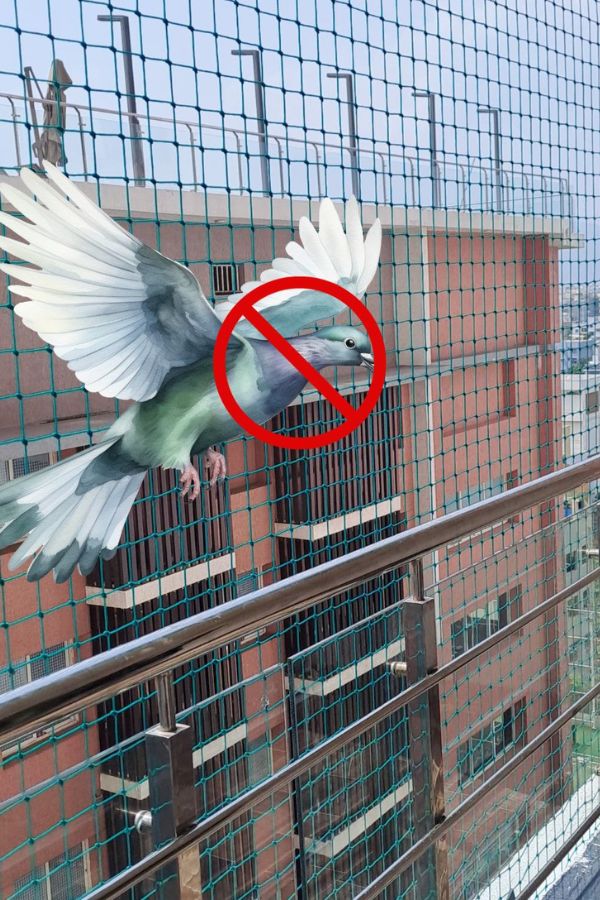 Bird and Pigeon Control Spikes